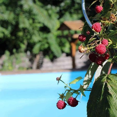 Le Chat Botte - Vankantiehuis In Languedoc-Roussillion Bed & Breakfast Routier Luaran gambar